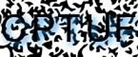 grafischer Sicherheitscode